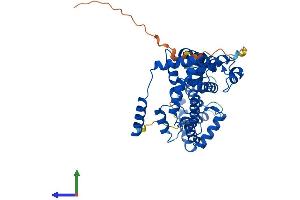 AlphaFold protein structure predicition of Mouse Recombinant Rgs11 Protein, UniprotID Q9Z2H1
