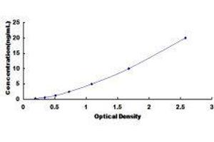 ELISA image for Signal Transducer and Activator of Transcription 6, Interleukin-4 Induced (STAT6) ELISA Kit (ABIN417072)