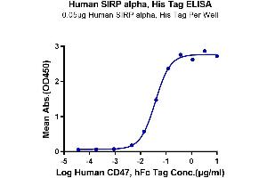 ELISA image for Signal-Regulatory Protein alpha (SIRPA) (AA 31-370) protein (His tag) (ABIN7275652)