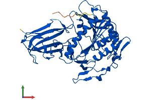 Protein Structure (PS) image for Acyl-CoA Thioesterase 4 (ACOT4) (AA 1-421) protein (His tag) (ABIN7551857)