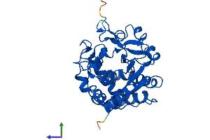 Protein Structure (PS) image for Sulfotransferase Family 1B Member 1 (SULT1B1) (AA 1-299) protein (His tag) (ABIN7561734)
