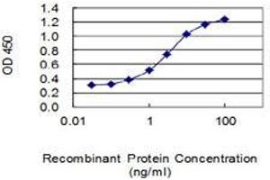 Detection limit for recombinant GST tagged FRAT1 is 0. (FRAT1 抗体  (AA 181-279))
