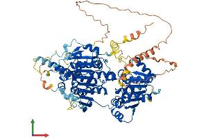 Protein Structure (PS) image for Digestive Organ Expansion Factor Homolog (DIEXF) (AA 1-756) protein (His tag) (ABIN7547074)