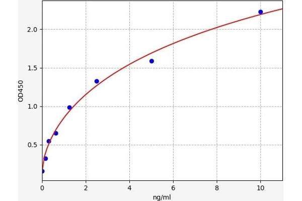 Prothrombin ELISA 试剂盒