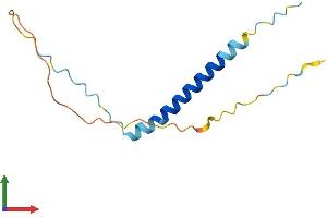 Protein Structure (PS) image for Transcription Elongation Factor A (SII)-Like 8 (TCEAL8) (AA 1-117) protein (His tag) (ABIN7560808)
