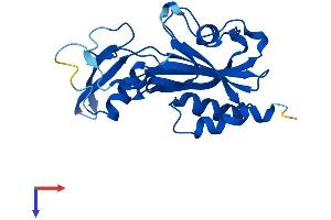 NUDT14 Protein (AA 1-222) (His tag)