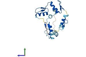 AlphaFold protein structure predicition of Human Recombinant ZNF726P1 Protein, UniprotID Q15940