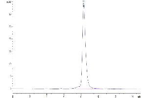 The purity of Human GUCY2C is greater than 95 % as determined by SEC-HPLC. (GUCY2C Protein (His-Avi Tag))