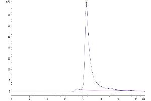 The purity of Cynomolgus FAP is greater than 95 % as determined by SEC-HPLC. (FAP Protein (AA 26-760) (His tag))