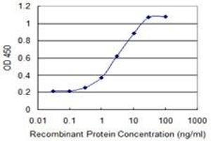 Detection limit for recombinant GST tagged RNF125 is 0. (RNF125 抗体  (AA 143-231))