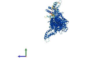 AlphaFold protein structure predicition of Mouse Recombinant Cyfip2 Protein, UniprotID Q5SQX6