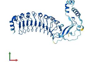 AlphaFold protein structure predicition of Mouse Recombinant Lrrc69 Protein, UniprotID Q9D9Q0