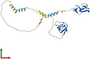 Protein Structure (PS) image for LIM and SH3 Protein 1 (LASP1) (AA 1-263) protein (His tag) (ABIN7557738)