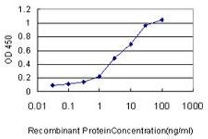 ELISA image for anti-X-Ray Repair Complementing Defective Repair in Chinese Hamster Cells 6 (XRCC6) (AA 1-609) antibody (ABIN560973)