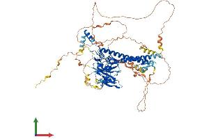 Protein Structure (PS) image for BRCA1 Associated Protein-1 (Ubiquitin Carboxy-terminal Hydrolase) (BAP1) (AA 1-728) protein (His tag) (ABIN7564929)