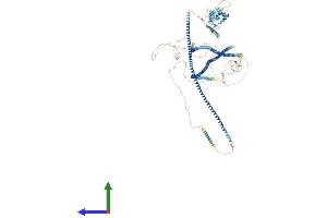Protein Structure (PS) image for Coiled-Coil Domain Containing 88B (CCDC88B) (AA 1-1476) protein (His tag) (ABIN7552936)
