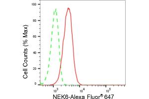 Flow cytometric analysis of NEK6 expression in HT- cells using NEK6 antibody(ABIN7799603), 1:2,000).