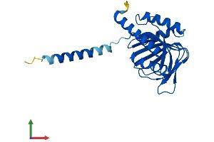 Protein Structure (PS) image for sigma Non-Opioid Intracellular Receptor 1 (SIGMAR1) (AA 1-223) protein (His tag) (ABIN7562503)