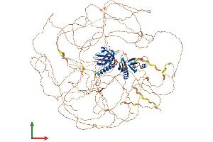 Protein Structure (PS) image for Insulin Receptor Substrate 2 (IRS2) (AA 1-1338) protein (His tag) (ABIN7554179)