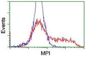 Flow Cytometry (FACS) image for anti-Mannose Phosphate Isomerase (MPI) antibody (ABIN1499546)