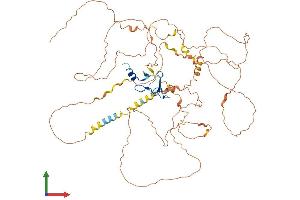 Protein Structure (PS) image for Sciellin (SCEL) (AA 1-652) protein (His tag) (ABIN7561400)
