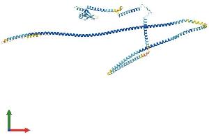 Protein Structure (PS) image for MAD1 Mitotic Arrest Deficient-Like 1 (MAD1L1) (AA 1-717) protein (His tag) (ABIN7565211)