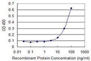 ELISA image for anti-Forkhead Box C2 (MFH-1, Mesenchyme Forkhead 1) (FOXC2) (AA 156-256) antibody (ABIN515706)