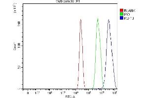 Flow Cytometry analysis of C6 cells using anti-KLF13 antibody (ABIN7602036). (KLF13 抗体  (AA 56-260))