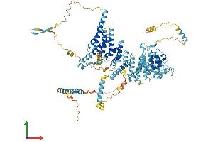 Protein Structure (PS) image for Nucleolar Complex Associated 3 Homolog (NOC3L) (AA 1-807) protein (His tag) (ABIN7559952)