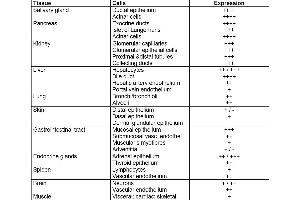 Table 1. (CD46 抗体)