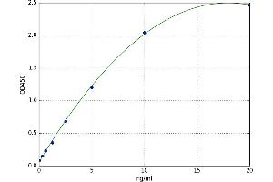 A typical standard curve (Fibrillin 3 ELISA 试剂盒)