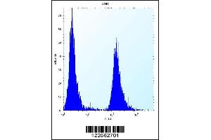 Flow Cytometry (FACS) image for anti-Plasminogen Activator Inhibitor 1 (SERPINE1) (AA 188-216) antibody (ABIN5535643)