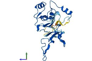 AlphaFold protein structure predicition of Human Recombinant GGTLC2 Protein, UniprotID Q14390