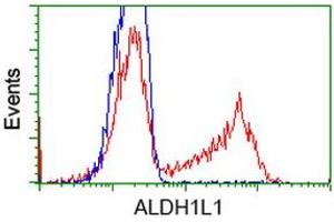 Image no. 2 for anti-Aldehyde Dehydrogenase 1 Family, Member L1 (ALDH1L1) antibody (ABIN1496581) (ALDH1L1 抗体)