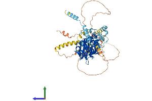 Protein Structure (PS) image for RIO Kinase 1 (RIOK1) (AA 1-568) protein (His tag) (ABIN7551370)