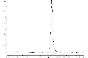 Size-exclusion chromatography-High Pressure Liquid Chromatography (SEC-HPLC) image for Secreted Protein, Acidic, Cysteine-Rich (Osteonectin) (SPARC) (AA 18-302) protein (His tag) (ABIN7275641)