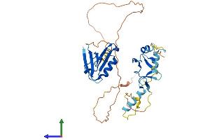 Protein Structure (PS) image for PDZ and LIM Domain 2 (PDLIM2) (AA 1-352) protein (His tag) (ABIN7550653)