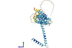Protein Structure (PS) image for Meiosis-Specific 4 Homolog (MEI4) (AA 1-385) protein (His tag) (ABIN7549382)