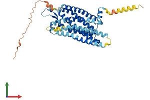 Protein Structure (PS) image for Growth Hormone Secretagogue Receptor (GHSR) (AA 1-366) protein (His tag) (ABIN7547989)