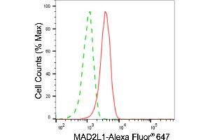 anti-MAD2 Mitotic Arrest Deficient-Like 1 (Yeast) (MAD2L1) antibody