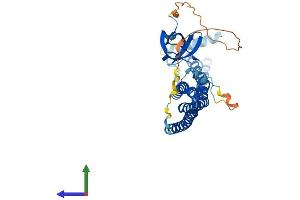 AlphaFold protein structure predicition of Mouse Recombinant Sh3gl1 Protein, UniprotID Q62419