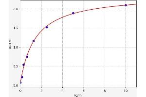 TRPM7 ELISA 试剂盒