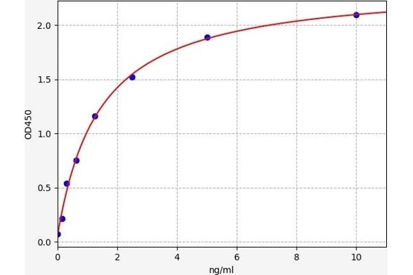 TRPM7 ELISA 试剂盒
