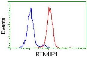 Flow cytometric Analysis of Hela cells, using anti-RTN4IP1 antibody (ABIN2454379), (Red), compared to a nonspecific negative control antibody, (Blue). (RTN4IP1 抗体)