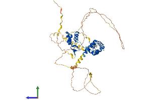 AlphaFold protein structure predicition of Human Recombinant PAX3 Protein, UniprotID P23760