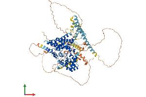 AlphaFold protein structure predicition of Mouse Recombinant Tbc1d5 Protein, UniprotID Q80XQ2