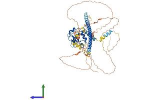 Protein Structure (PS) image for Heat shock factor protein 2 (HSF2) (AA 1-536) protein (His tag) (ABIN7548315)