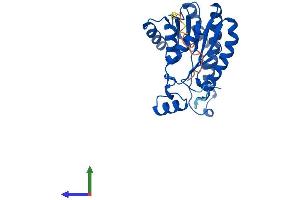 AlphaFold protein structure predicition of Mouse Recombinant Dhrs4 Protein, UniprotID Q99LB2 (DHRS4 Protein (AA 1-279) (His tag))