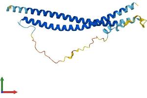 Protein Structure (PS) image for Synaptosomal-Associated Protein, 23kDa (SNAP23) (AA 1-211) protein (His tag) (ABIN7546290)