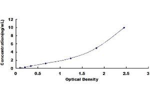 Typical standard curve (FKBP4 ELISA 试剂盒)